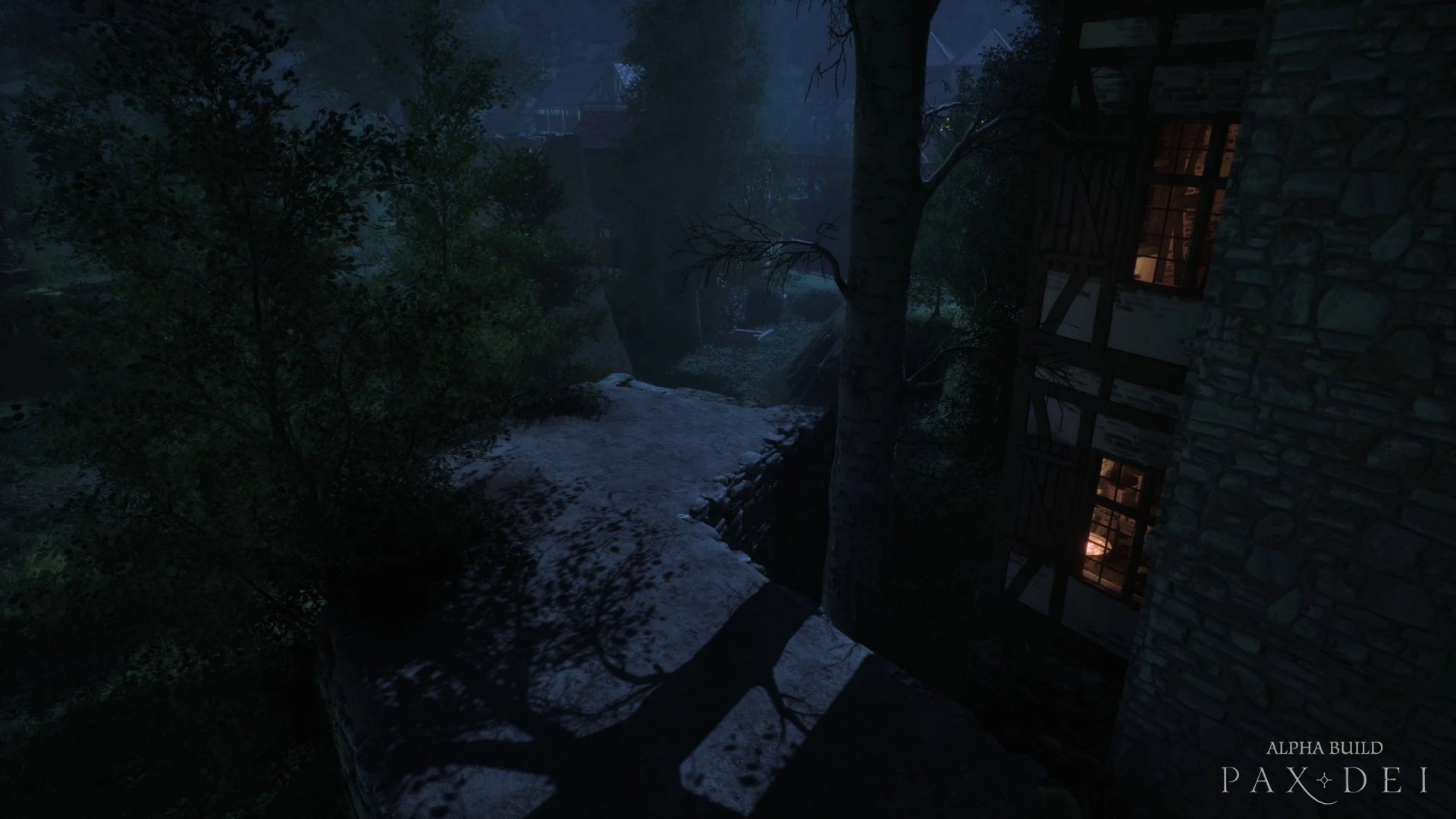 closed-alpha-player-built-a-village-at-night